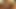 Blonde MILF mit dicken Titten wird in Holland geknallt