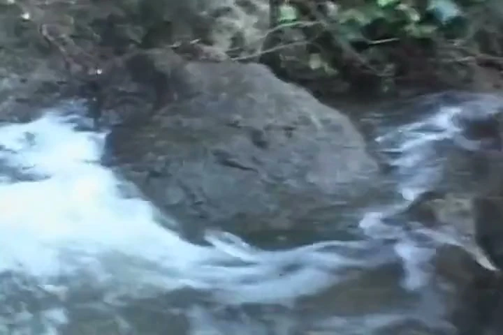 Yüzünü siktirmeyi seven mükemmel bir Fransız bebek