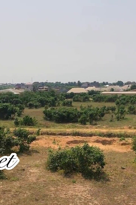 Я зустрічаю незнайомця в своїй недобудованій будівлі