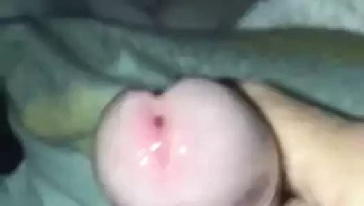 Büyük horoz sağladım