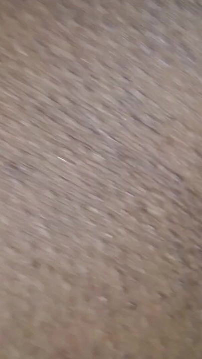 Emotivni trenutak iz "See how my fingers fucked my pussy 2"