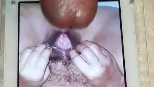 Cum üzerinde sıcak kıllı kedi