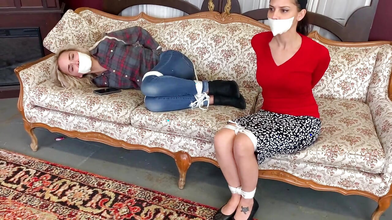 Librarian Unleashed