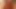 Me sucking cock and swallowing cum