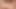 私のお尻に恋して