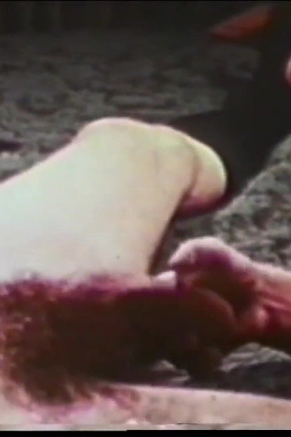 John Holmes the Wild Lover