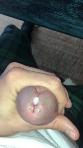 Tribute # 99
