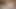 I started my Indian big ass stepsister with a morning blowjob babe