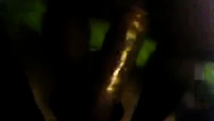 Eşek