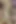 Üvey kız kardeş, gel ve seni sütle doldurana kadar amını sikeceğim - İspanyolca porno