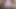 Pantat pixie pink dientot habis-habisan sama kontol besar pria kulit hitam sampai lubangnya menganga lebar