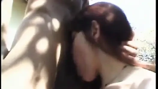 Bisexual threesome with stunning brunette and two hot studs fucking outdoors