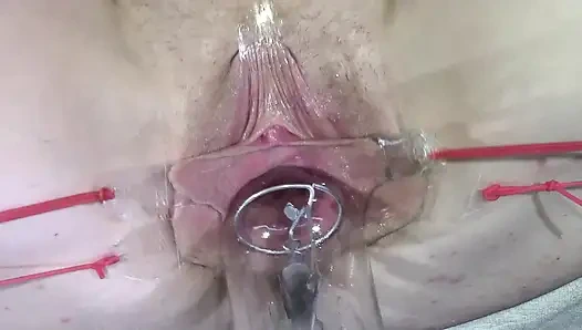 11 широко распространённых киски крупным планом, секс с лампой 1000 ватт