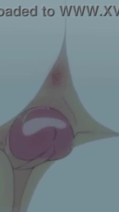 พบกับแฟนสาวครั้งแรกกับสาวเวอร์จิ้นเต็มที่ คลิป 1