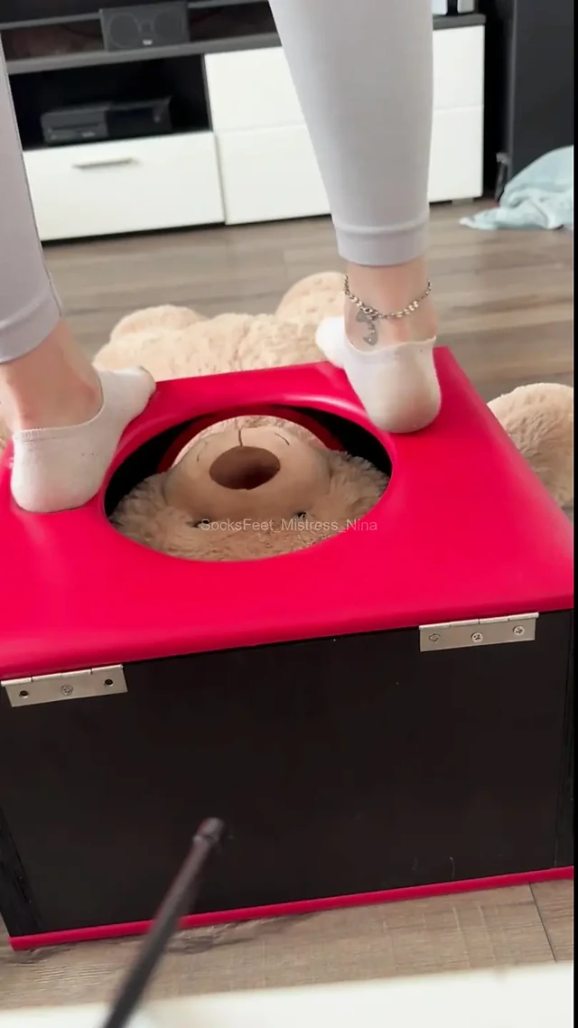 How much would you like to be the teddy bear in the box?