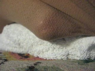 Humping and cumming in pantyhose, close-up view
