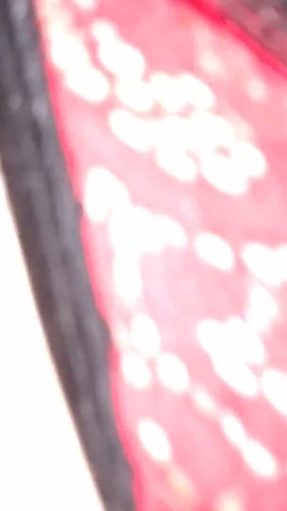 Lingerie Lovers - Red Rover. Red Rover. We came all over. | Clip 2