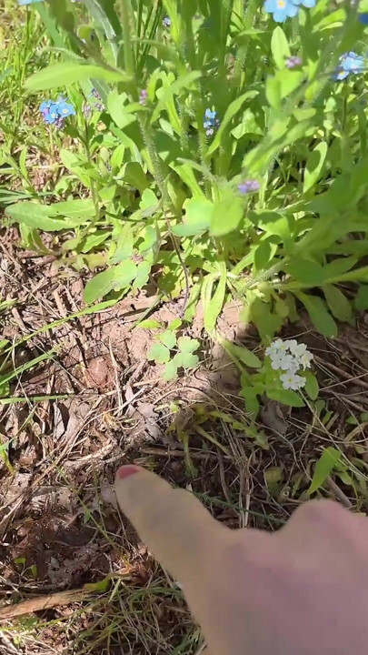 piss pussy for care flower tree | Clip 1