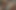 VRファンタジーから現実への隣人訪問、ハードセックスで終わる