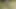 Modern seksi tarz 3 ateşli seksi orta yaşlı seksi kadın doğada yürüyor. Taytlı BÜYÜK GÖTLÜ VE BÜYÜK GÖTLÜ. Seksi bir ta ile ateşli bir yaz günü