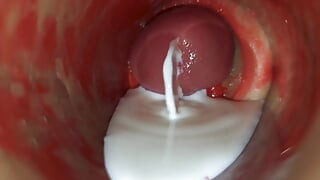 Camera Inside Deep Pussy Captures Huge Ejaculation of Sperm Asmr