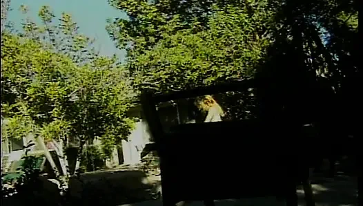 Классической милфе-блондинке жестко засадили на улице