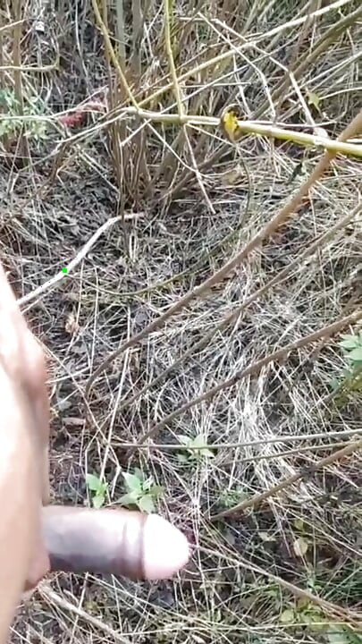丛林中的户外射精合集