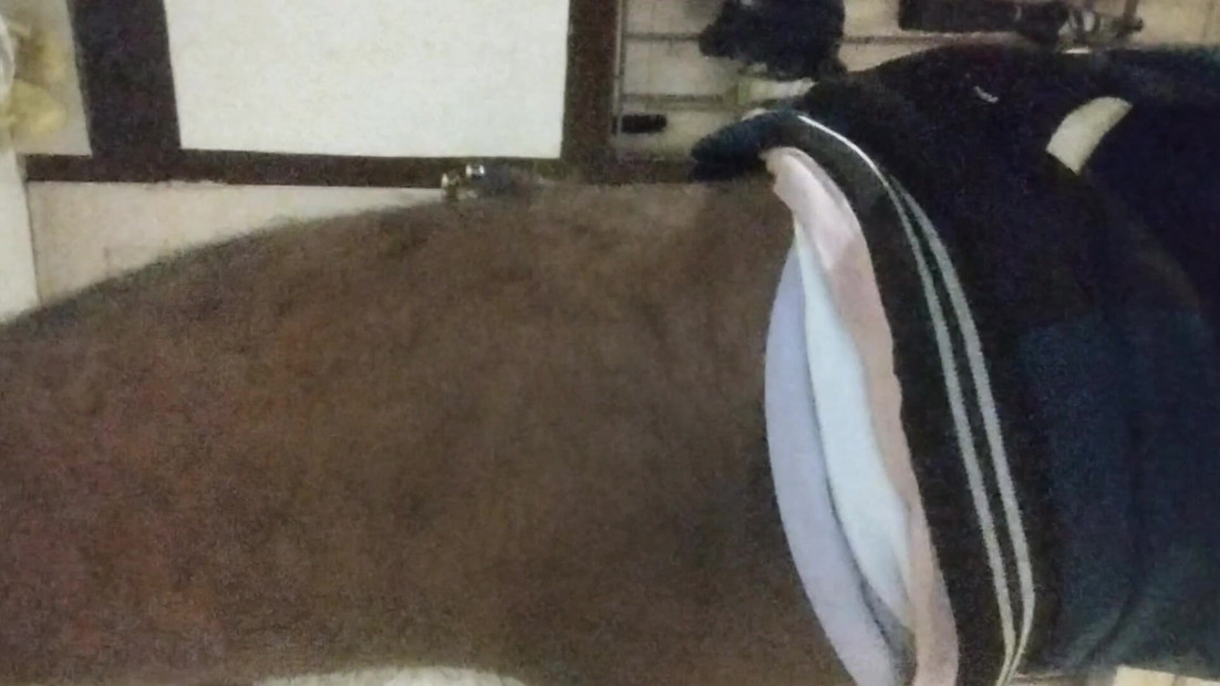 带 LED 的屁股插头。播放 10 振动模式显示在这个短片。完整视频即将推出。