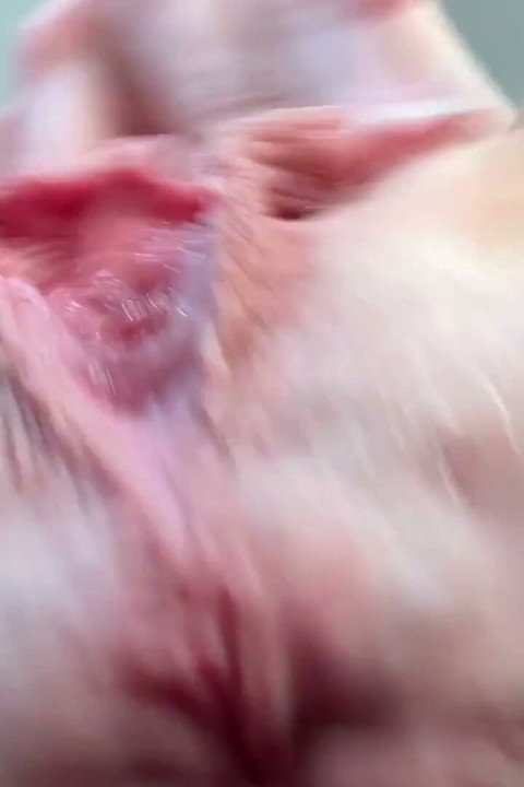Under Skirt Closeup Pussy and Asshole Facesitting