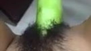 Hairy cucumber