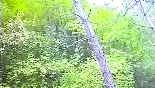 В тепле камина получите хороший минет