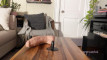 Pregled videozapisa