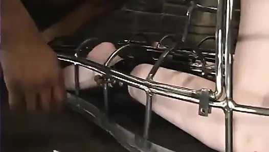 Jr Langdon dan Haley Scott