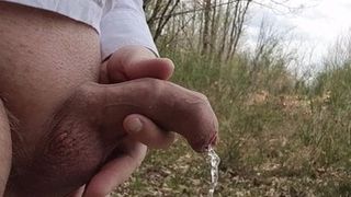 Piss in the Forest