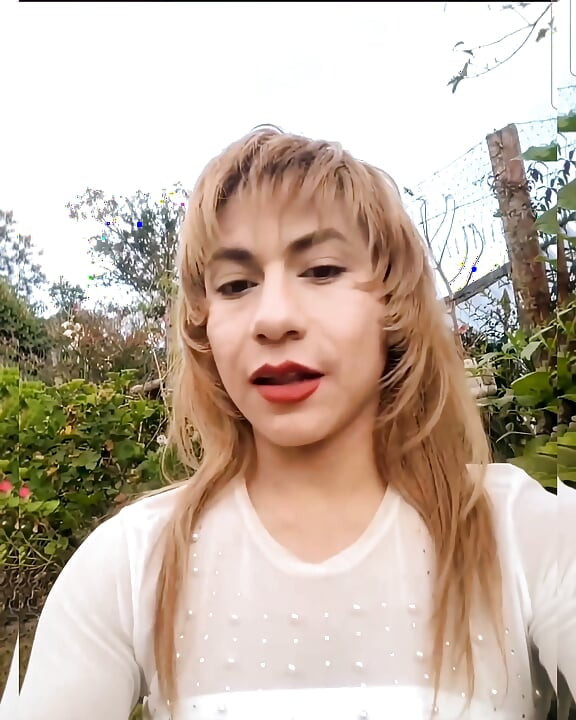 11月11日のライブショー