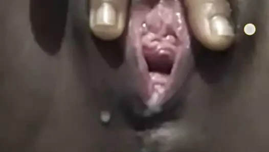 Panggilan Video WhatsApp