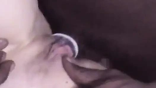 Amature blonde babe sucks dude's black dick in the living room