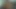 Boynuzlamak. joi