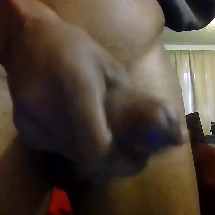 Acariciando um