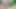 Ivy Plants Masturbation