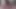 I suck cock secretly 4K