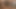 セックスされたカーリーズ シーン2 小さな胸の美しいブルネットが精液で満たされる