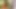 Catherine Zeta Jones - Katharina Die Grosse