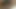 Liebe, Masturbieren bis zum Gedanken, in die nasse Muschi zu kommen