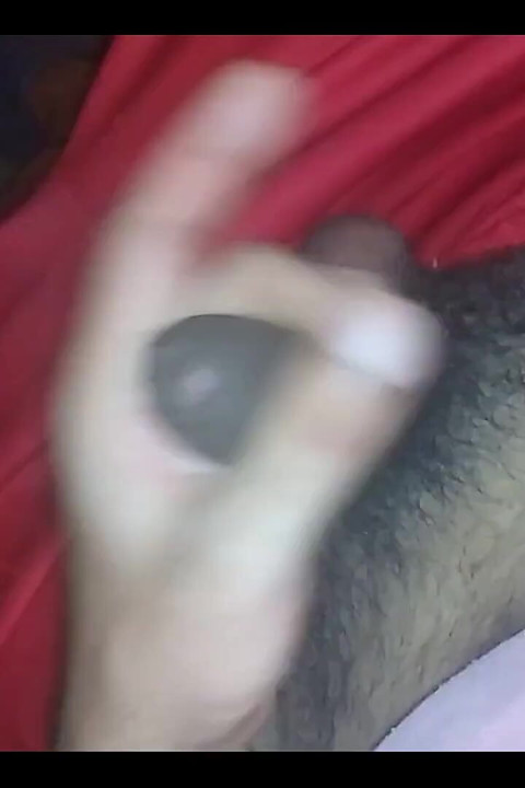 Como eu me divirto às tardes
