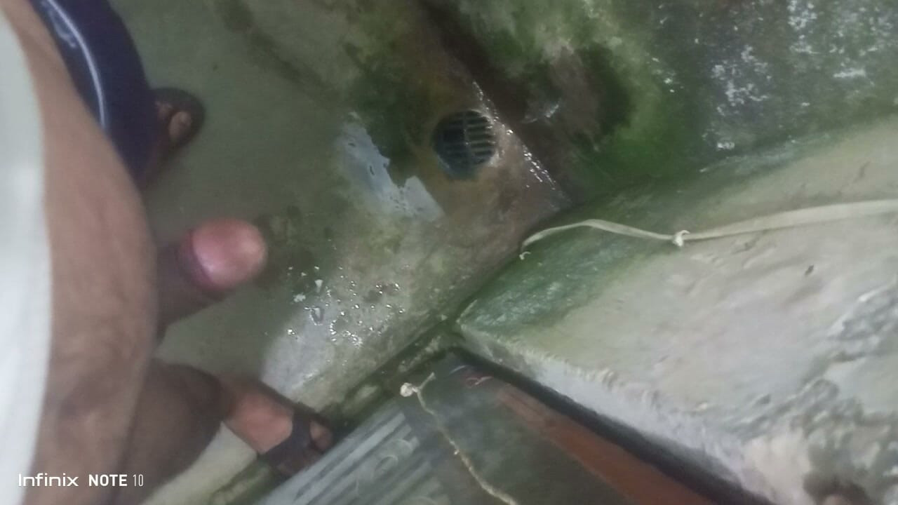 Toilet karte hai pissy