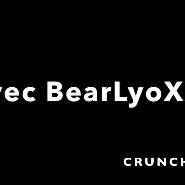 リカルドはRAビーベアXXLを犯した