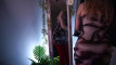 Pregled videozapisa