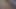 flpdpt