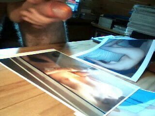 tribute 4